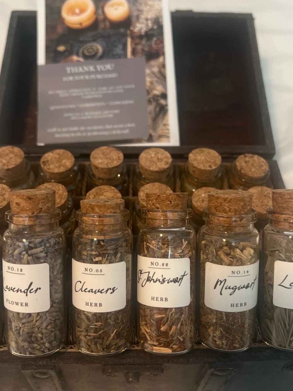 Set of Small Cork-Top Glass Herb Jars - Clear with Natural Cork